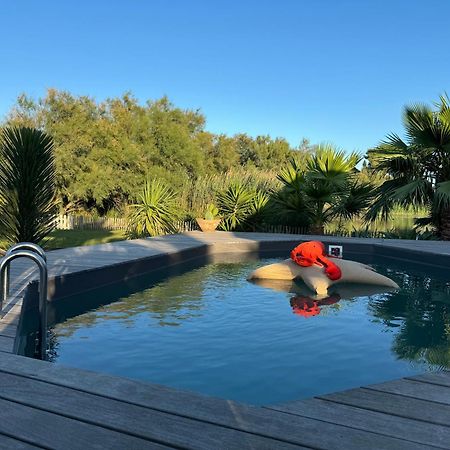 Cabane Le Flamant Avec Jardin, Piscine Et Parking Saintes-Maries-de-la-Mer Esterno foto