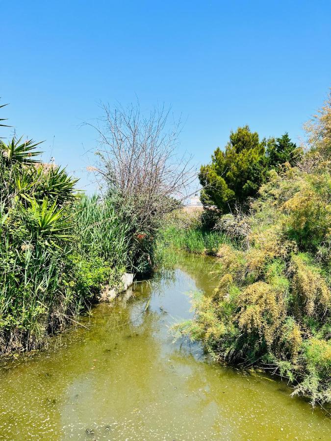 Cabane Le Flamant Avec Jardin, Piscine Et Parking Saintes-Maries-de-la-Mer Esterno foto