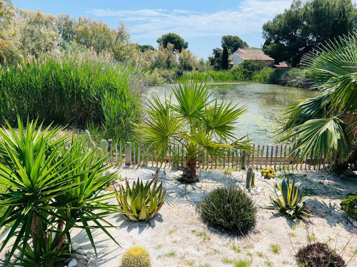 Cabane Le Flamant Avec Jardin, Piscine Et Parking Saintes-Maries-de-la-Mer Esterno foto