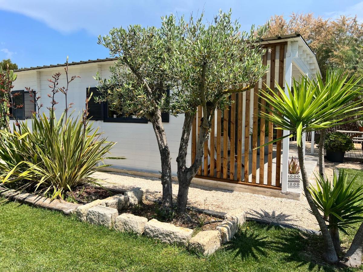 Cabane Le Flamant Avec Jardin, Piscine Et Parking Saintes-Maries-de-la-Mer Esterno foto