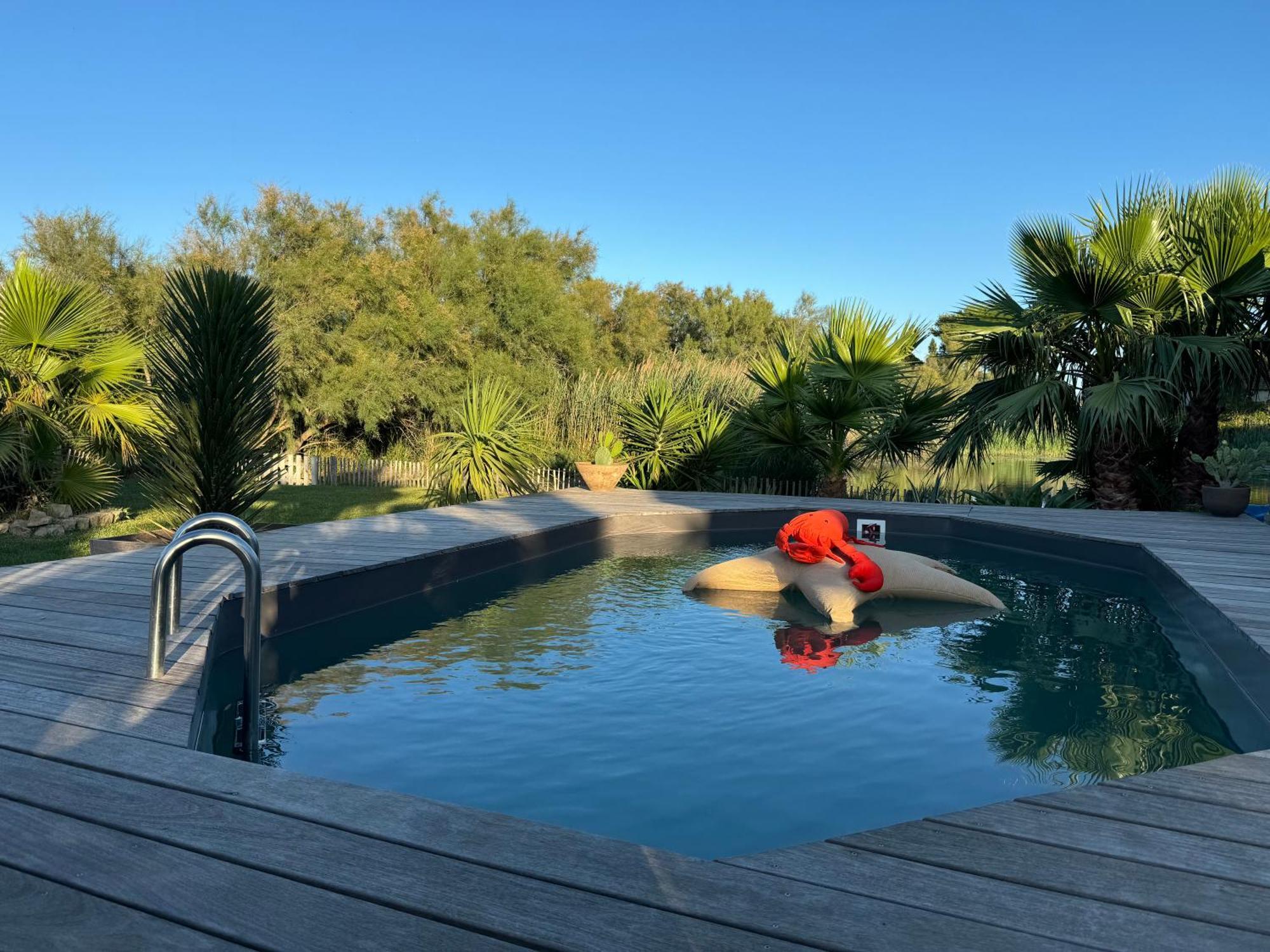 Cabane Le Flamant Avec Jardin, Piscine Et Parking Saintes-Maries-de-la-Mer Esterno foto